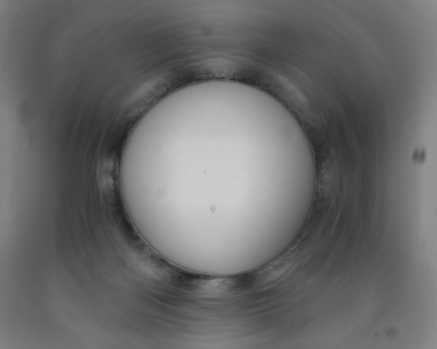 X0000091880122200709261359