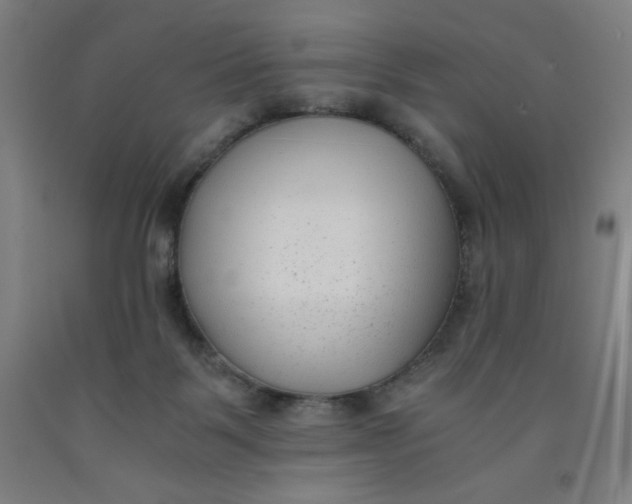 X0000091880123200709261359