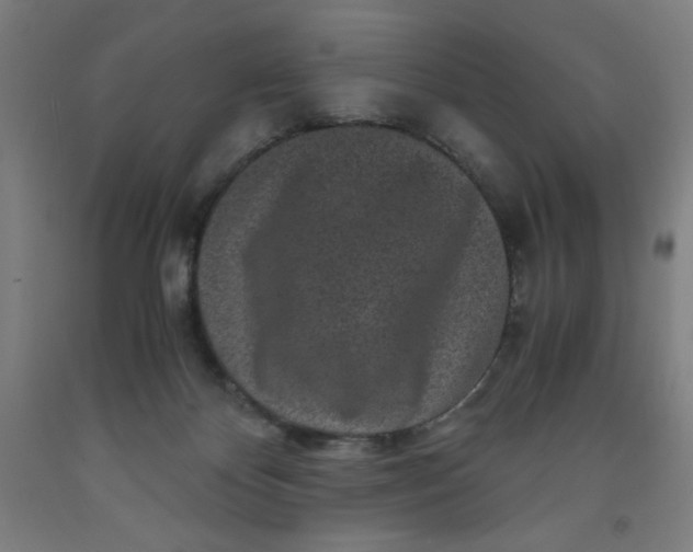 X0000091880124200709261359