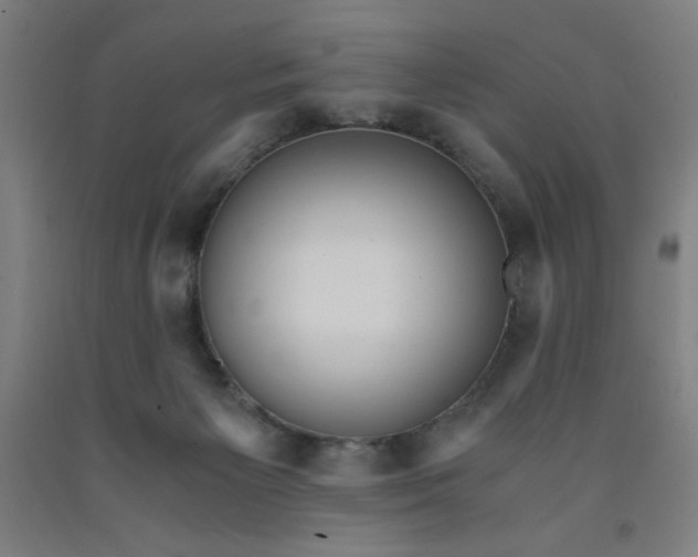 X0000091880125200709261359