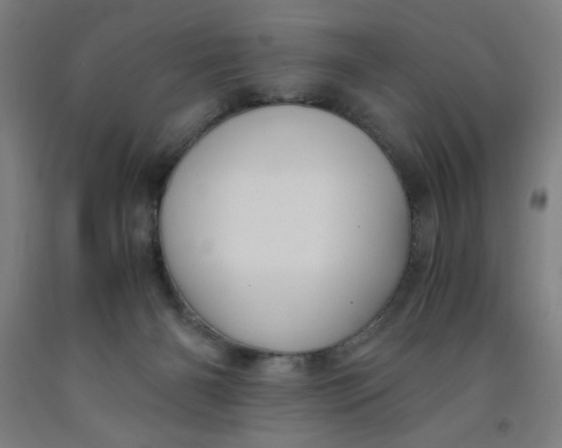 X0000091880126200709261359