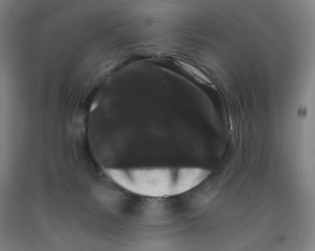 X0000091880127200709261359