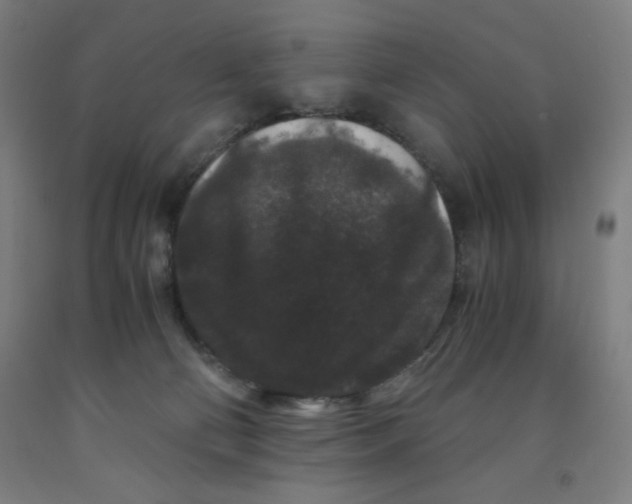 X0000091880130200709261359