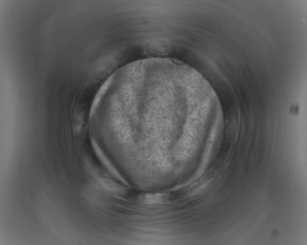 X0000091880134200709261359