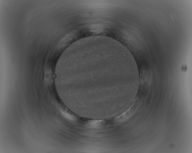 X0000091880136200709261359