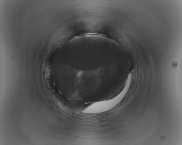 X0000091880137200709261359