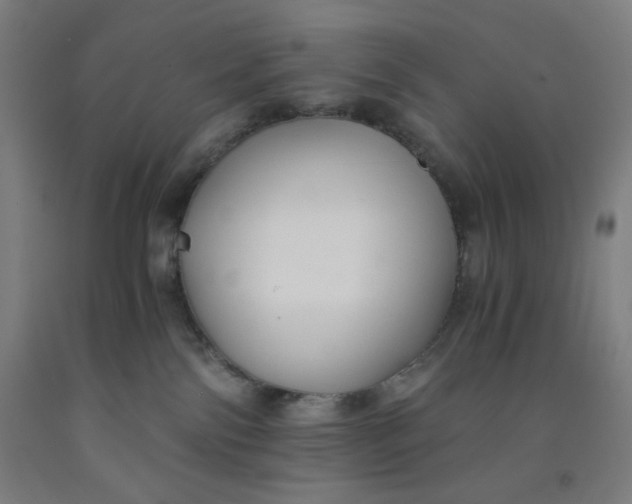 X0000091880138200709261359