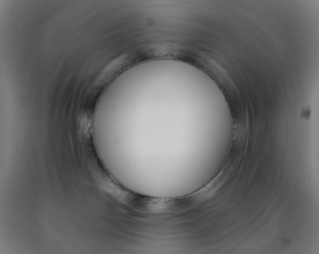 X0000091880142200709261359