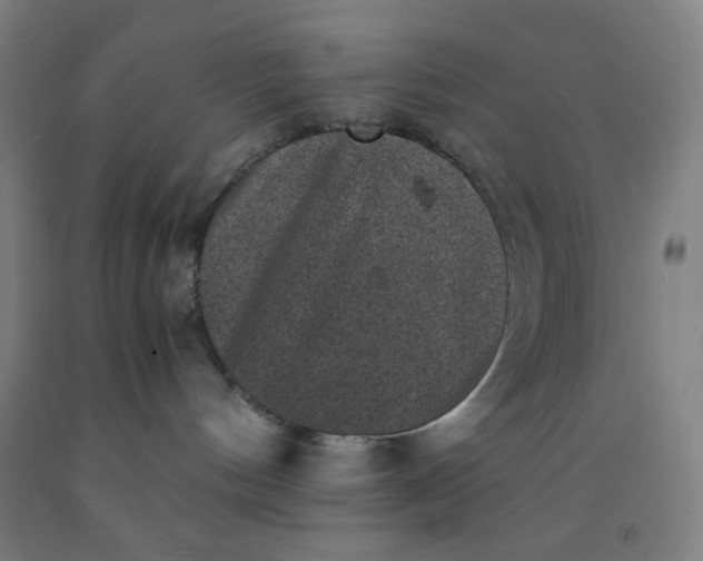 X0000091880144200709261359