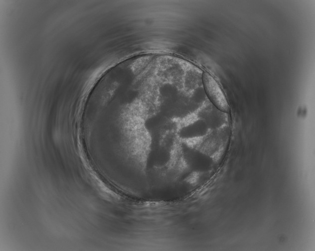 X0000091880145200709261359