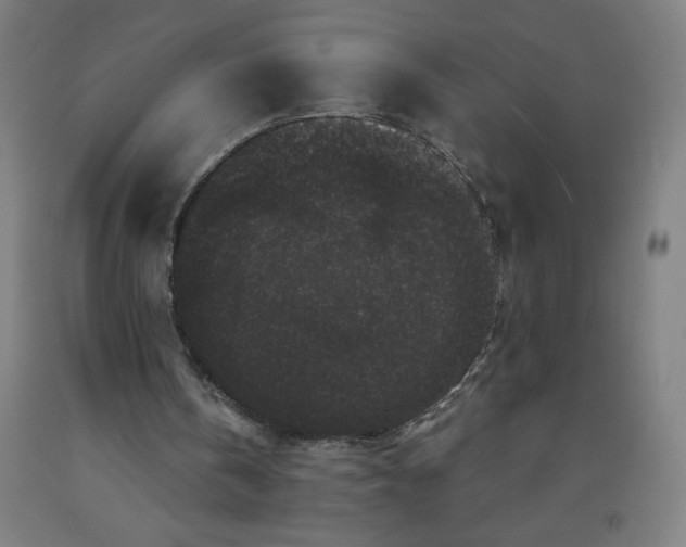 X0000091880146200709261359