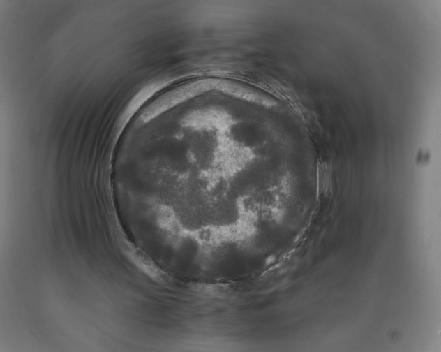 X0000091880147200709261359