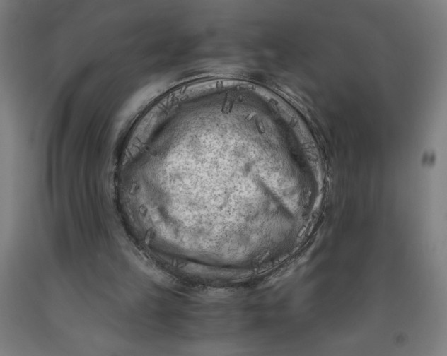 X0000091880149200709261359