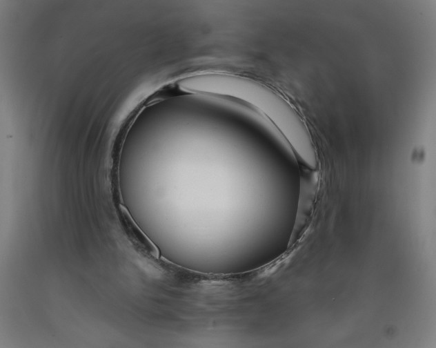 X0000091880150200709261359