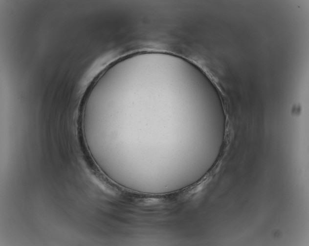 X0000091880151200709261359