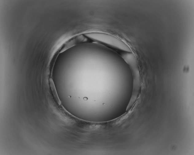 X0000091880152200709261359