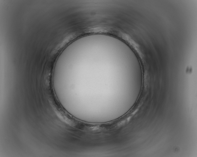 X0000091880153200709261359