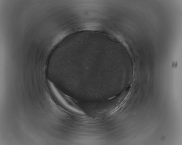 X0000091880154200709261359