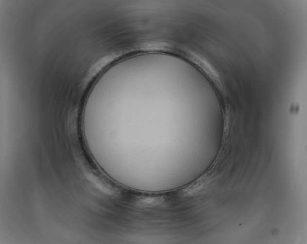 X0000091880155200709261359