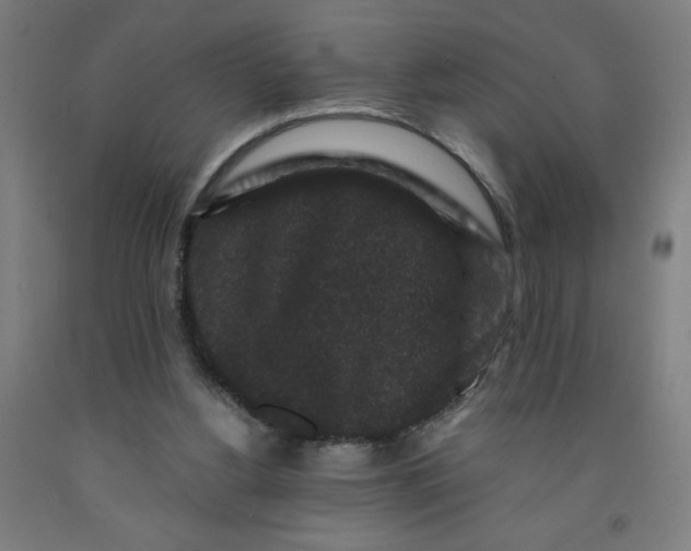 X0000091880156200709261359