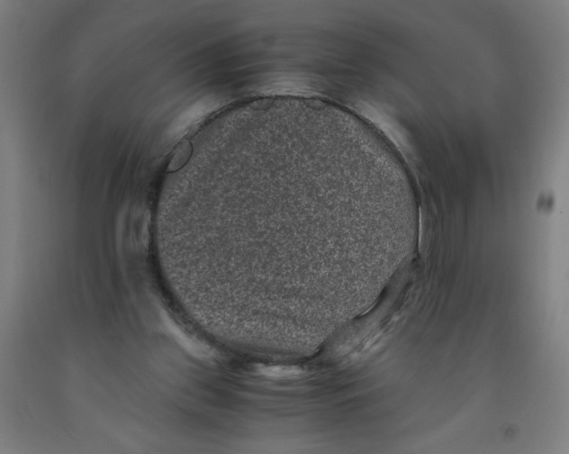 X0000091880157200709261359