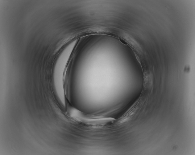 X0000091880158200709261359