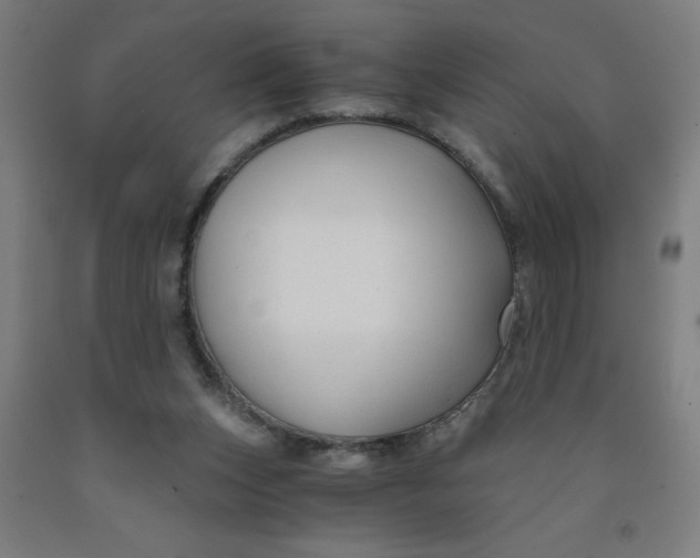 X0000091880159200709261359