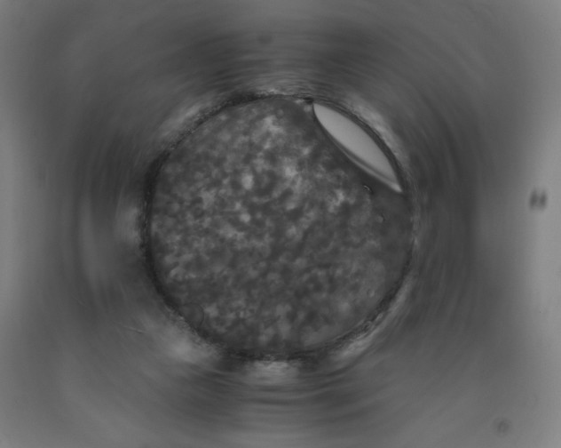 X0000091880161200709261359