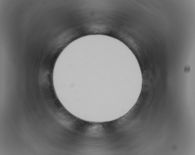 X0000091880162200709261359