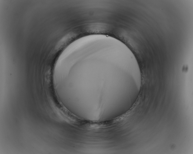 X0000091880163200709261359