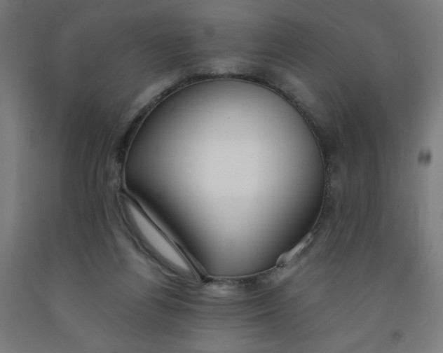 X0000091880164200709261359