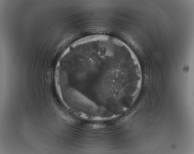 X0000091880165200709261359