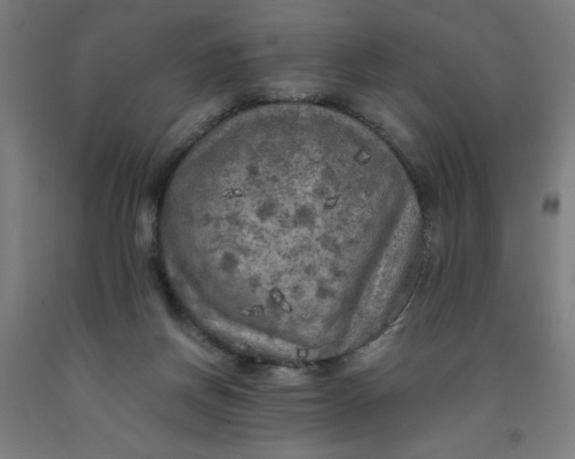 X0000091880166200709261359