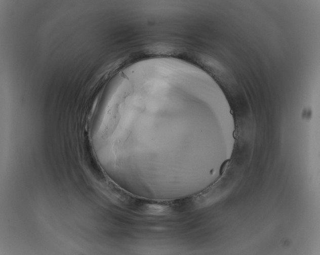 X0000091880167200709261359