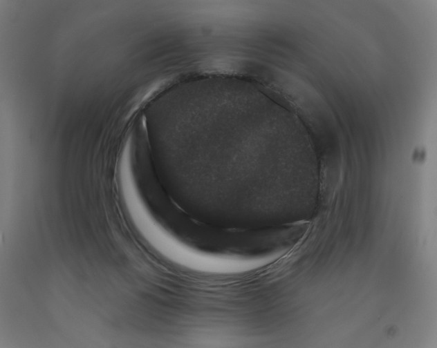 X0000091880168200709261359