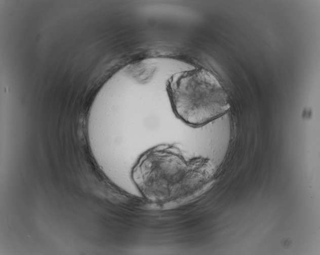 X0000091880169200709261359