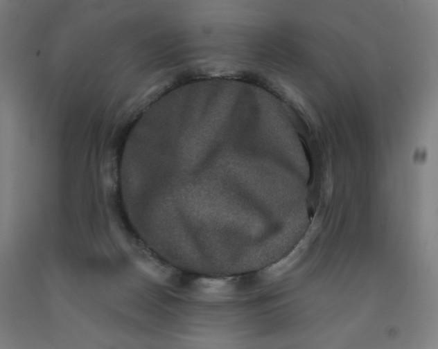 X0000091880170200709261359