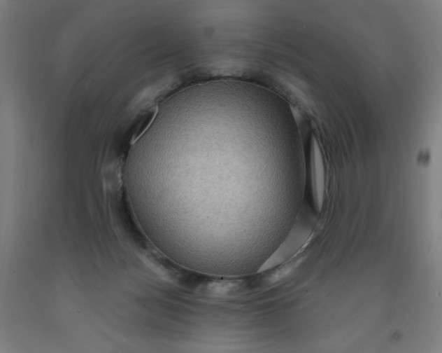 X0000091880172200709261359