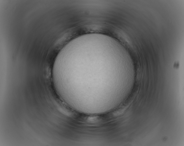 X0000091880173200709261359