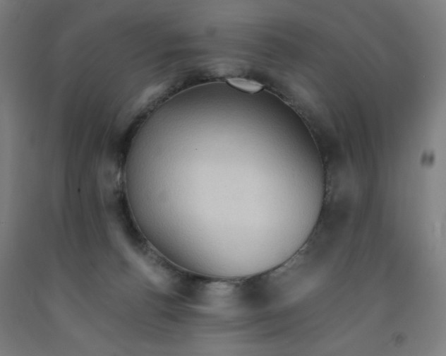 X0000091880176200709261359