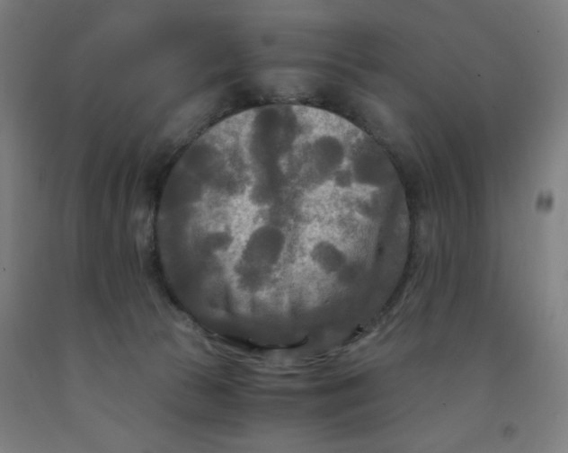 X0000091880177200709261359