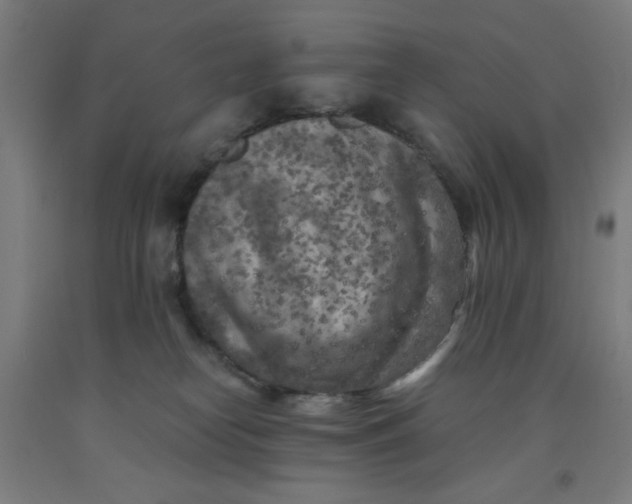 X0000091880182200709261359