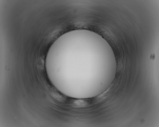 X0000091880183200709261359