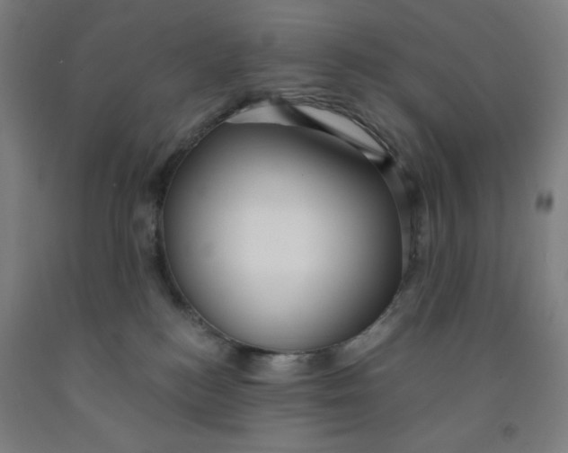 X0000091880184200709261359