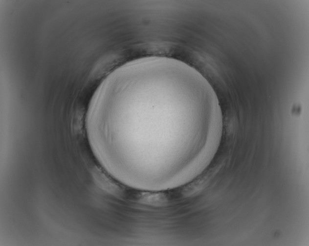 X0000091880185200709261359