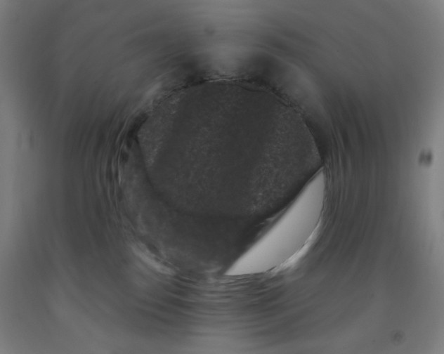 X0000091880186200709261359