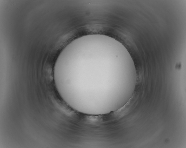 X0000091880187200709261359