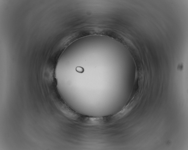 X0000091880188200709261359