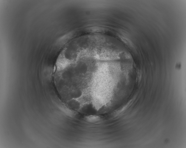 X0000091880189200709261359