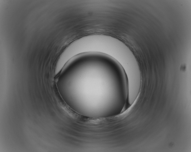 X0000091880190200709261359